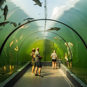 The Living water Modrá